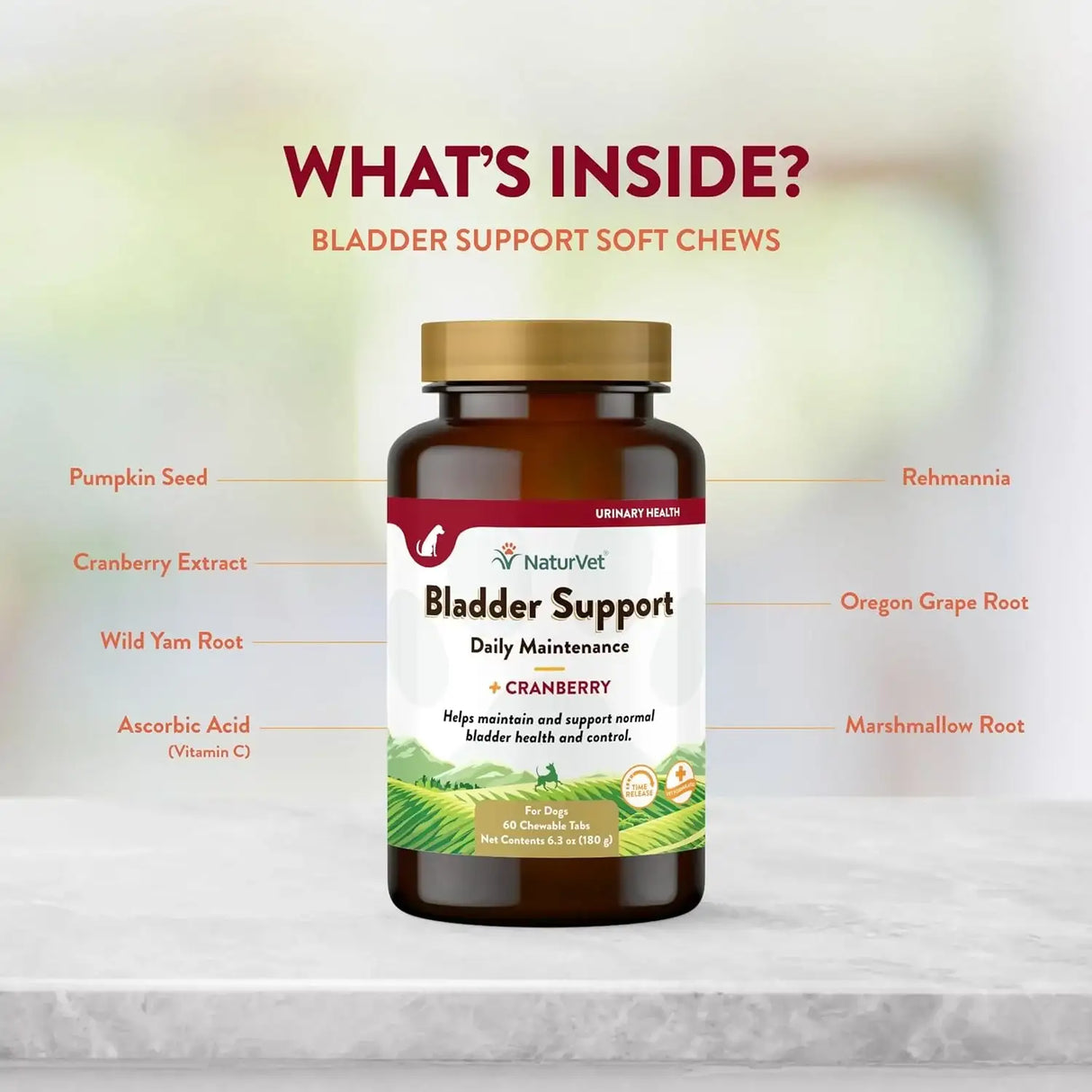 NATURVET - NaturVet Bladder Support for Dogs 60 Tabletas Masticables - The Red Vitamin MX - Salud De Tracto Urinario Para Perros - {{ shop.shopifyCountryName }}