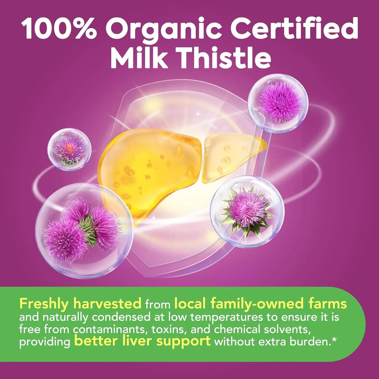 SUREBOUNTY - Surebounty Organic Milk Thistle 9000Mg. 90 Capsulas - The Red Vitamin MX - Suplementos Alimenticios - {{ shop.shopifyCountryName }}