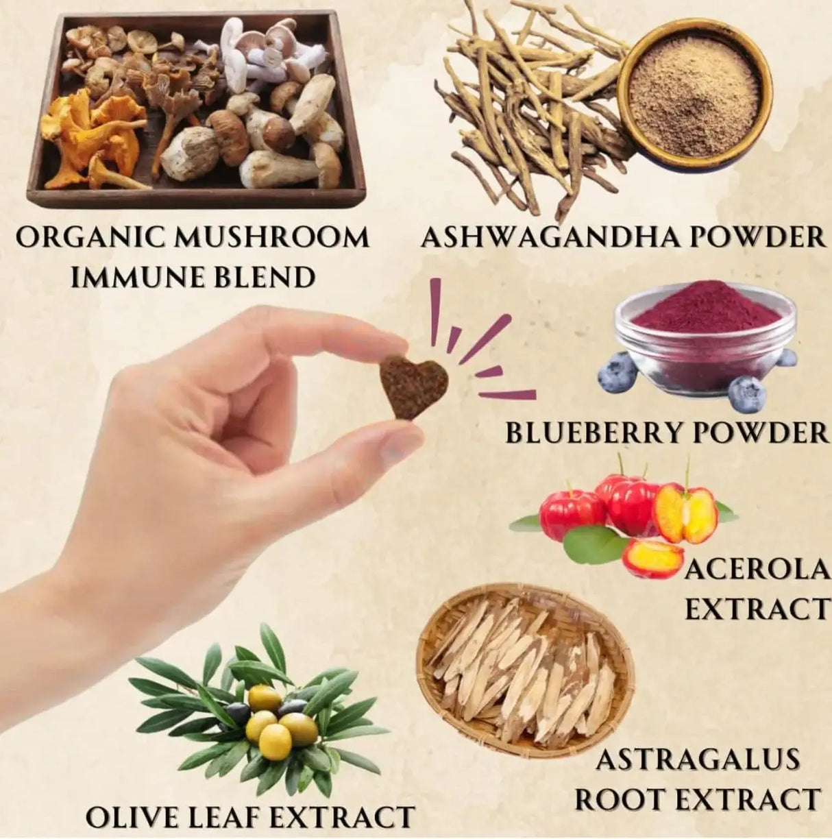 ELECTRIC ELIXIR - Electric Elixir Dogs Immune Support Mushroom Supplement 90 Masticables - The Red Vitamin MX - Suplementos Herbales Para Perros - {{ shop.shopifyCountryName }}