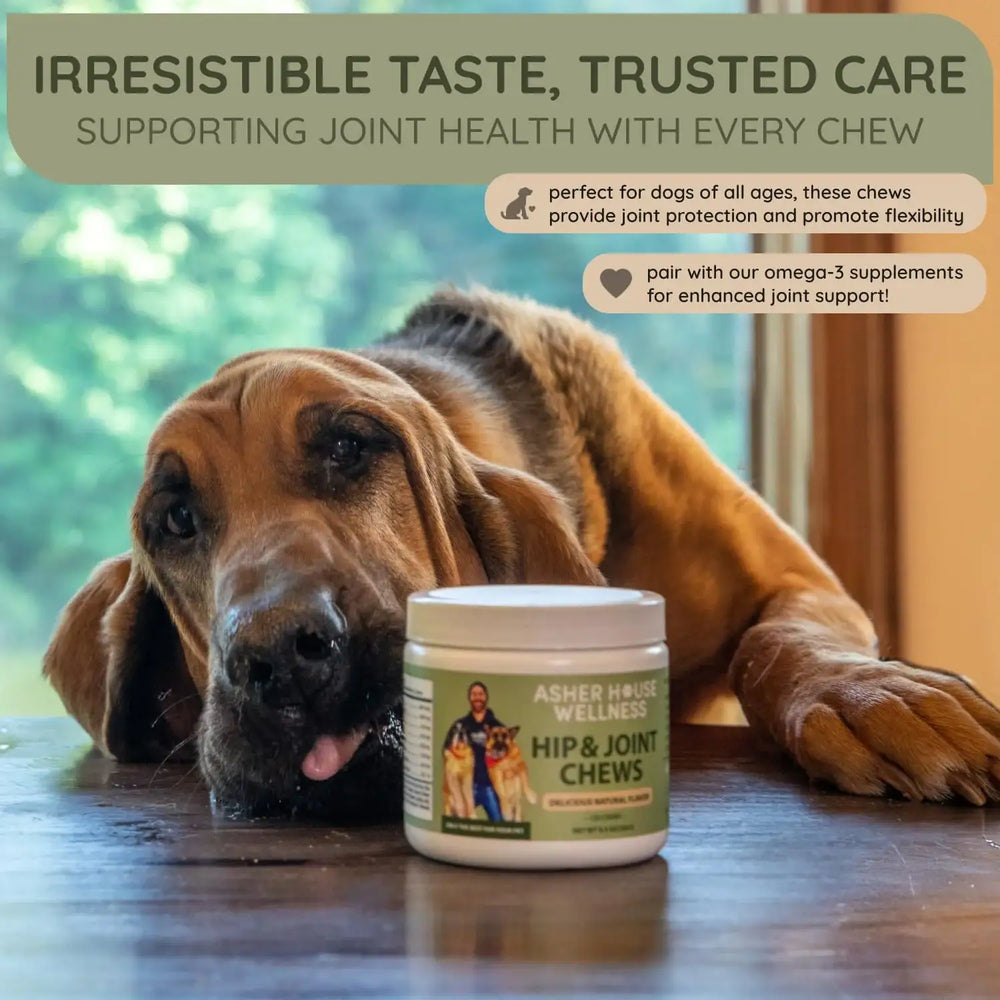 ASHER HOUSE WELLNESS - Asher House Wellness Hip and Joint Supplement for Dogs 120 Masticables - The Red Vitamin MX - Cuidado De Cadera Y Articulaciones Para Perros - {{ shop.shopifyCountryName }}