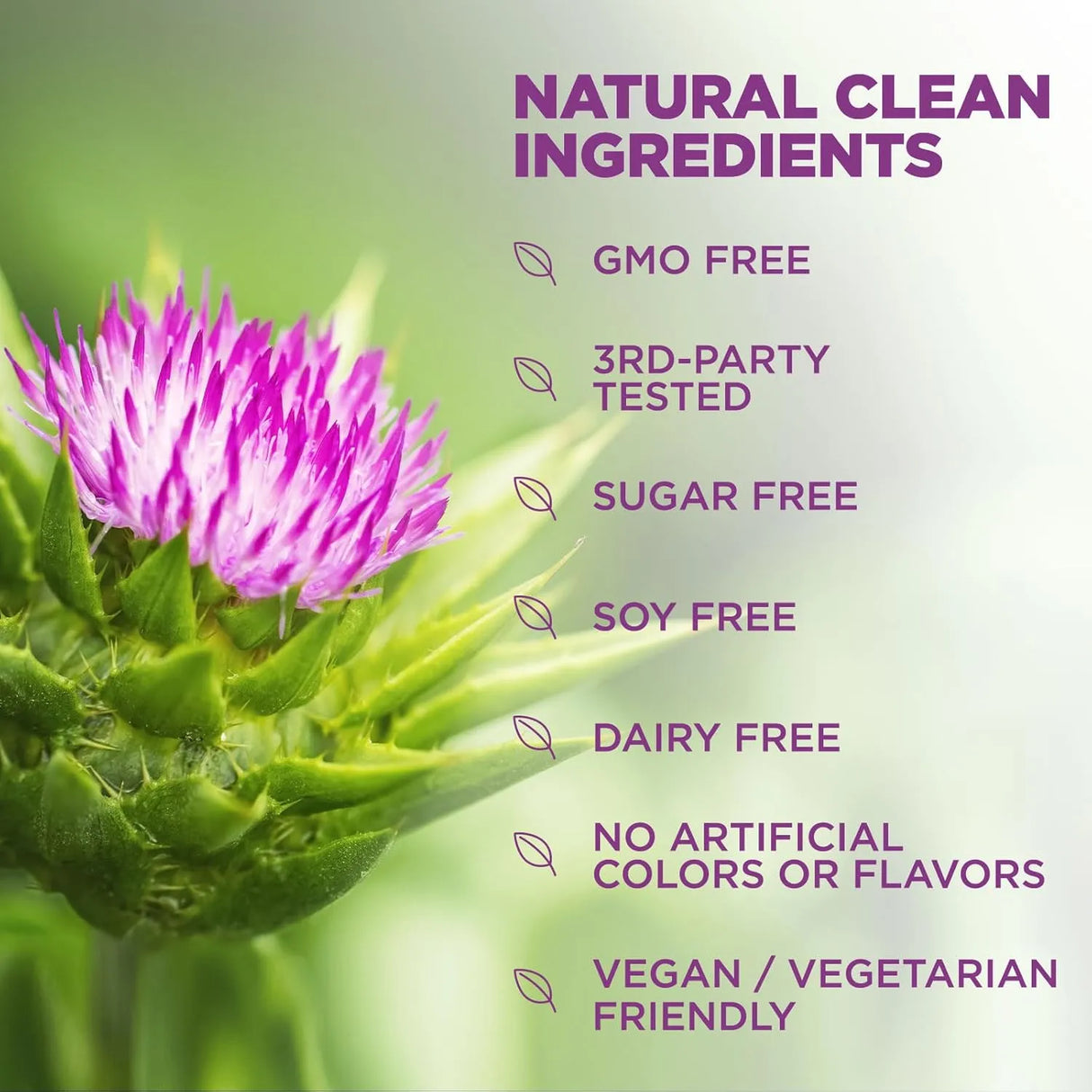 NATURE'S NUTRITION - Nature's Nutrition Milk Thistle 1000Mg. 120 Capsulas - The Red Vitamin MX - Suplementos Alimenticios - {{ shop.shopifyCountryName }}