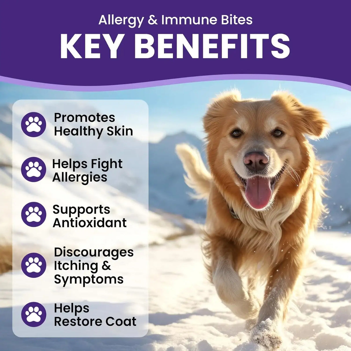 BUDDYCHEER - BuddyCheer Dog Allergy Skin Relief Chews for HotSpot & Dry Skin 180 Masticables - The Red Vitamin MX - Remedios Para La Picazón De Perros - {{ shop.shopifyCountryName }}