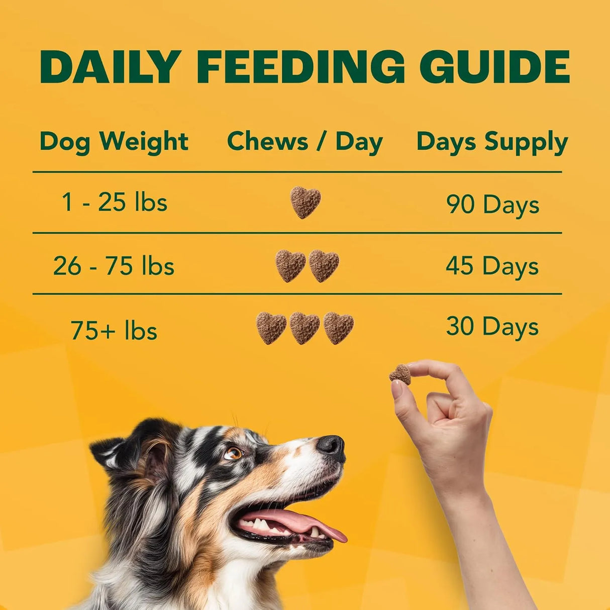 FURTIFY - Furtify Probiotics for Dogs with Prebiotics, Fiber, Chicory Root & Pumpkin 90 Masticables - The Red Vitamin MX - Probióticos Para Perros - {{ shop.shopifyCountryName }}