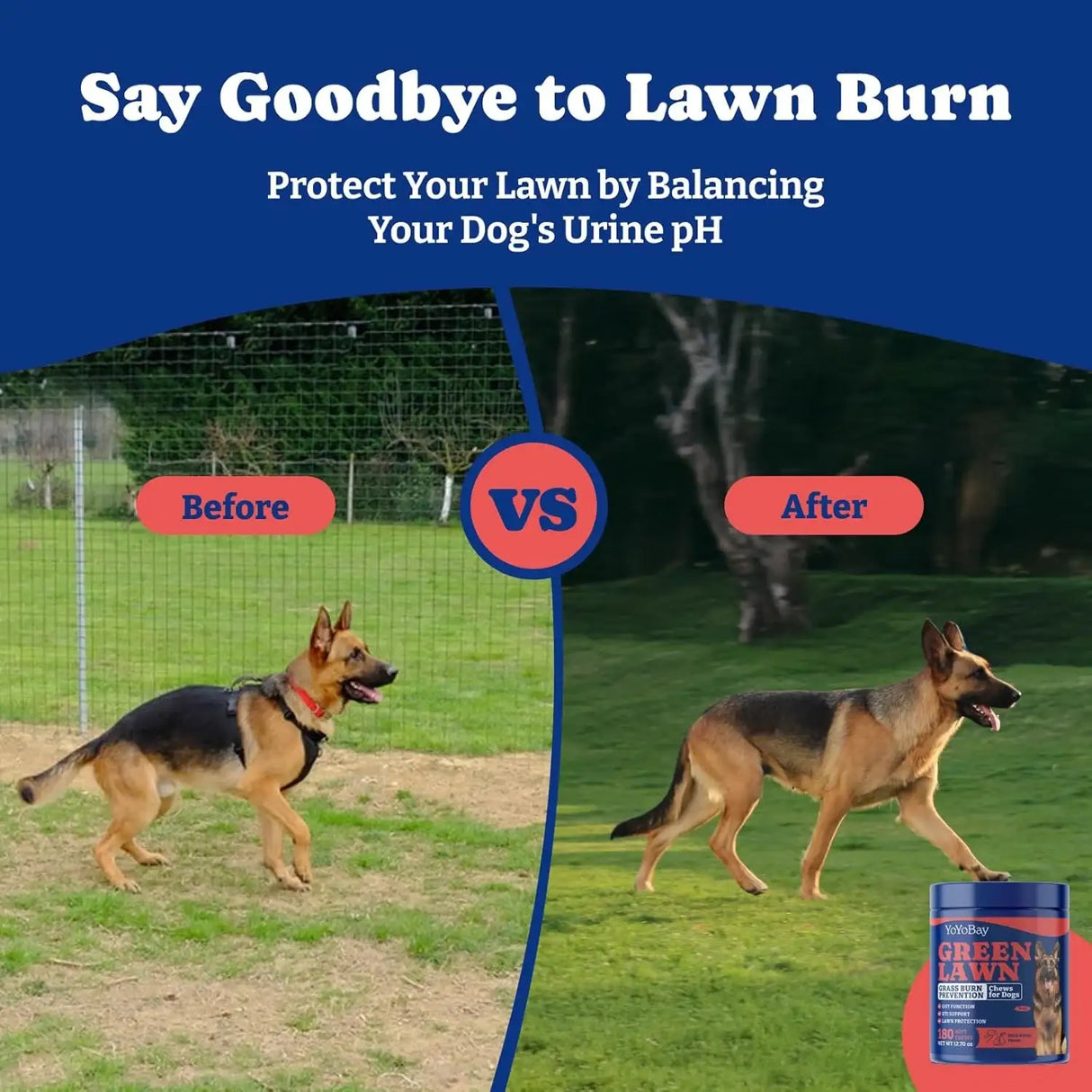 YOYOBAY - YoYoBay Dog Urine Neutralizer for Lawn 180 Masticables - The Red Vitamin MX - Salud De Tracto Urinario Para Perros - {{ shop.shopifyCountryName }}