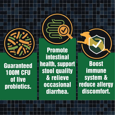 PAWS A DAY - Paws A Day Army Soldier Owned Dog Probiotics 60 Masticables 3 Pack - The Red Vitamin MX - Probióticos Para Perros - {{ shop.shopifyCountryName }}