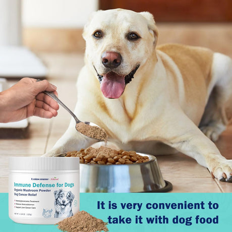 UNIPOMME - Unipomme Dogs Guard Defense Immune 120Gr. - The Red Vitamin MX - Suplementos Herbales Para Perros - {{ shop.shopifyCountryName }}