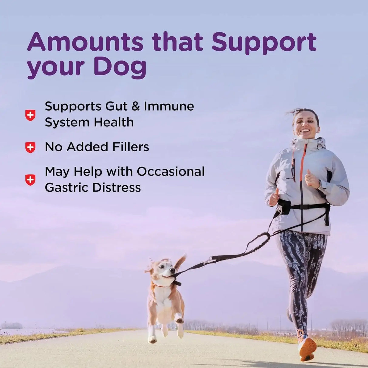 NUTRI-VET - Nutri-Vet Bladder Control 90 Tabletas - The Red Vitamin MX - Salud De Tracto Urinario Para Perros - {{ shop.shopifyCountryName }}