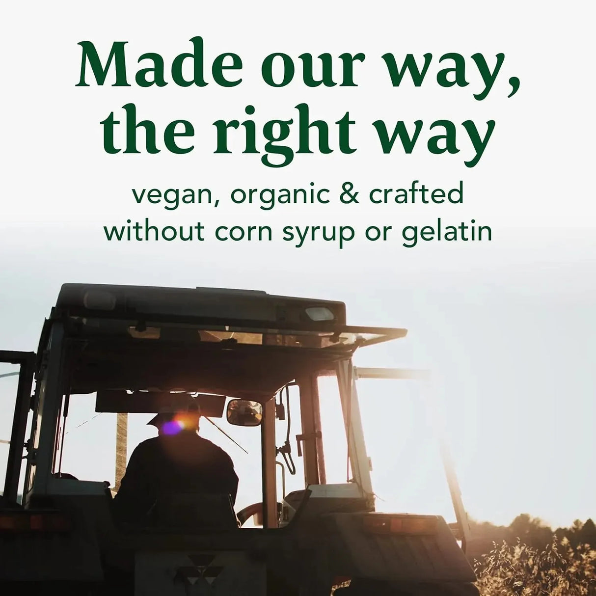 MEGAFOOD - Megafood Organic Elderberry Immune Support Gummies 54 Gomitas - The Red Vitamin MX - Suplementos Alimenticios - {{ shop.shopifyCountryName }}