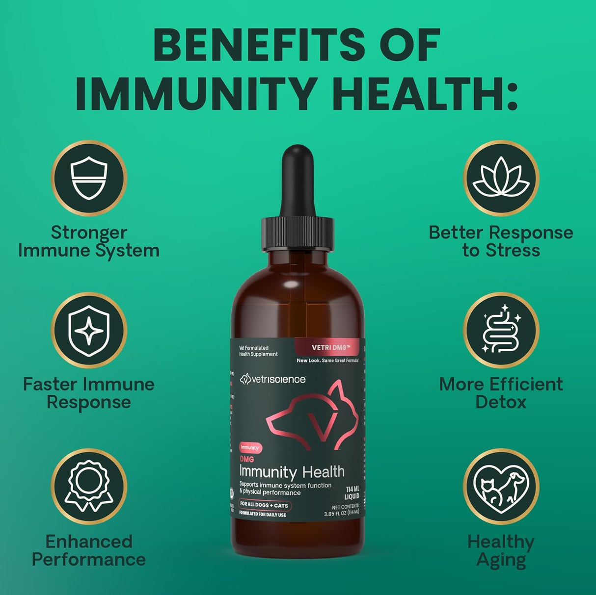 VETRISCIENCE DMG Immunity Health Easy-Dose Liquid 114Ml.