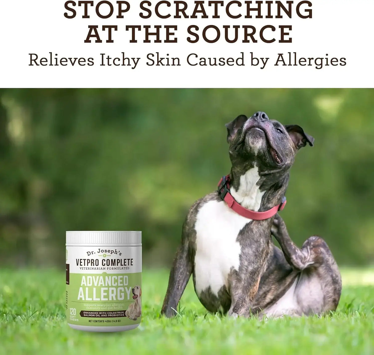 DR. JOSEPH'S - VetPro Complete Dr. Joseph's Advanced Allergy and Itch Support for Dogs 120 Masticables - The Red Vitamin MX - Remedios Para La Picazón De Perros - {{ shop.shopifyCountryName }}