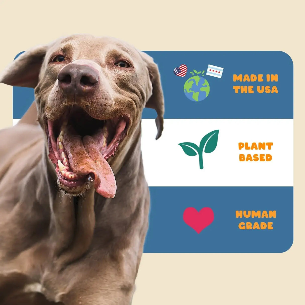 PETIPET - PETIPET Dog Allergy Relief Soft & Chewy Chews 200Gr. - The Red Vitamin MX - Remedios Para La Picazón De Perros - {{ shop.shopifyCountryName }}