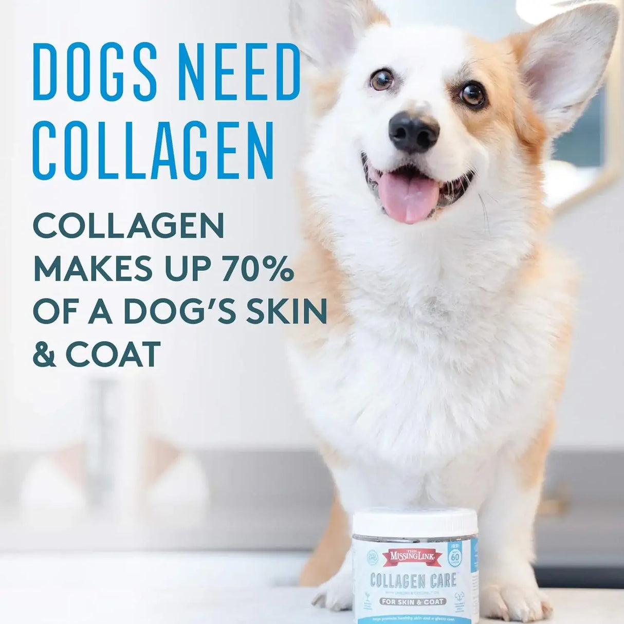 THE MISSING LINK - The Missing Link Collagen Care Skin & Coat Soft Chews 60 Masticables - The Red Vitamin MX - Aceite De Pescado Para Perros - {{ shop.shopifyCountryName }}