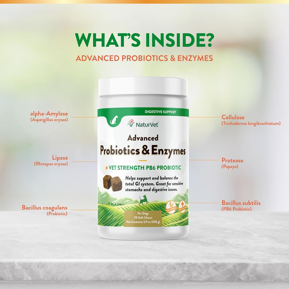 NaturVet Advanced Probiotics and Enzymes 70 Masticables