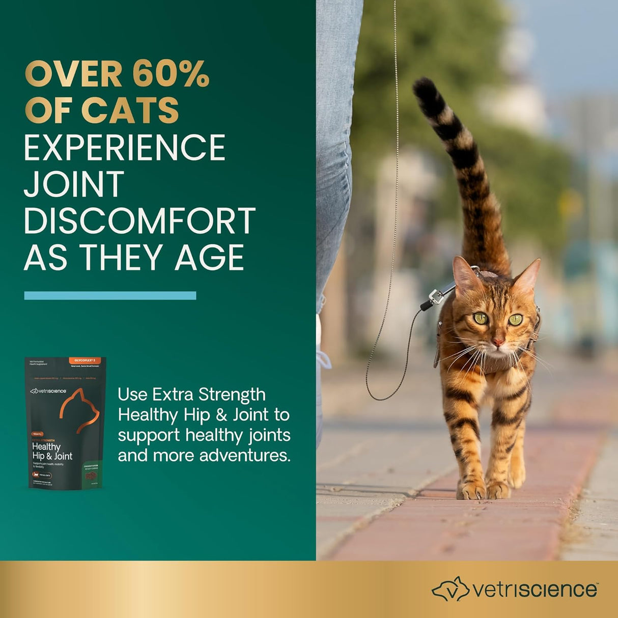 VetriScience Extra Strength Healthy Hip & Joint Chews Cats Chicken Flavor 60 Masticables