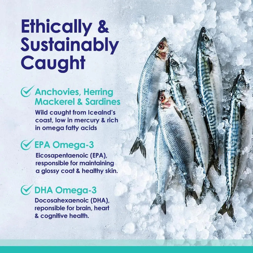 NULIFE - NuLife Pure Omega 3 Fish Oil for Dogs 180 Capsulas - The Red Vitamin MX - Aceite De Pescado Para Perros - {{ shop.shopifyCountryName }}