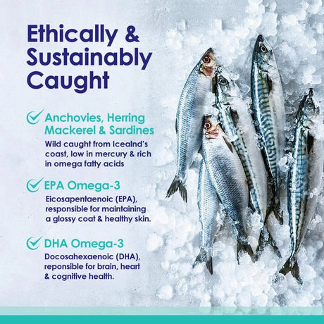 NULIFE - NuLife Liquid Fish Oil for Dogs with Omega 3 6 & 9 Fatty Acids 32 Fl.Oz. - The Red Vitamin MX - Aceite De Pescado Para Perros - {{ shop.shopifyCountryName }}