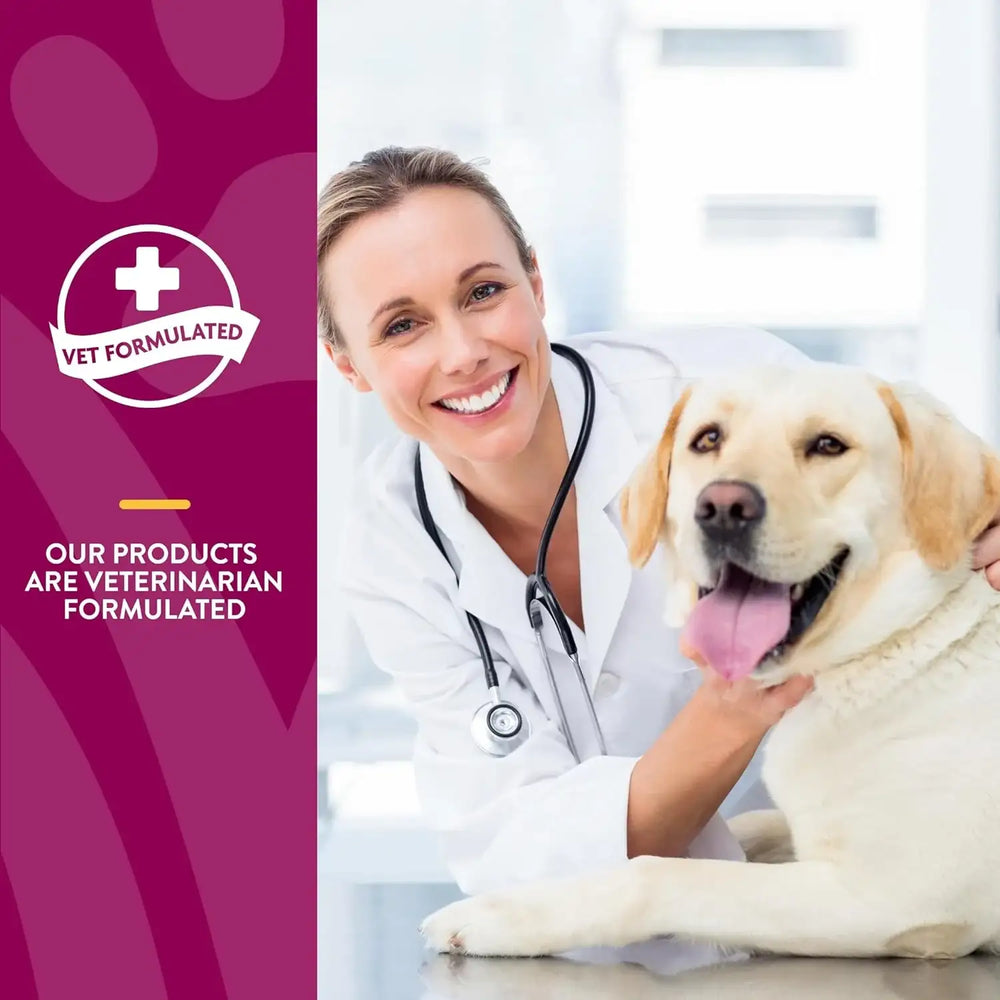 NATURVET - NaturVet ArthriSoothe-GOLD Level 3 Advanced Joint Care 120 Tabletas Masticables - The Red Vitamin MX - Cuidado De Cadera Y Articulaciones Para Perros - {{ shop.shopifyCountryName }}