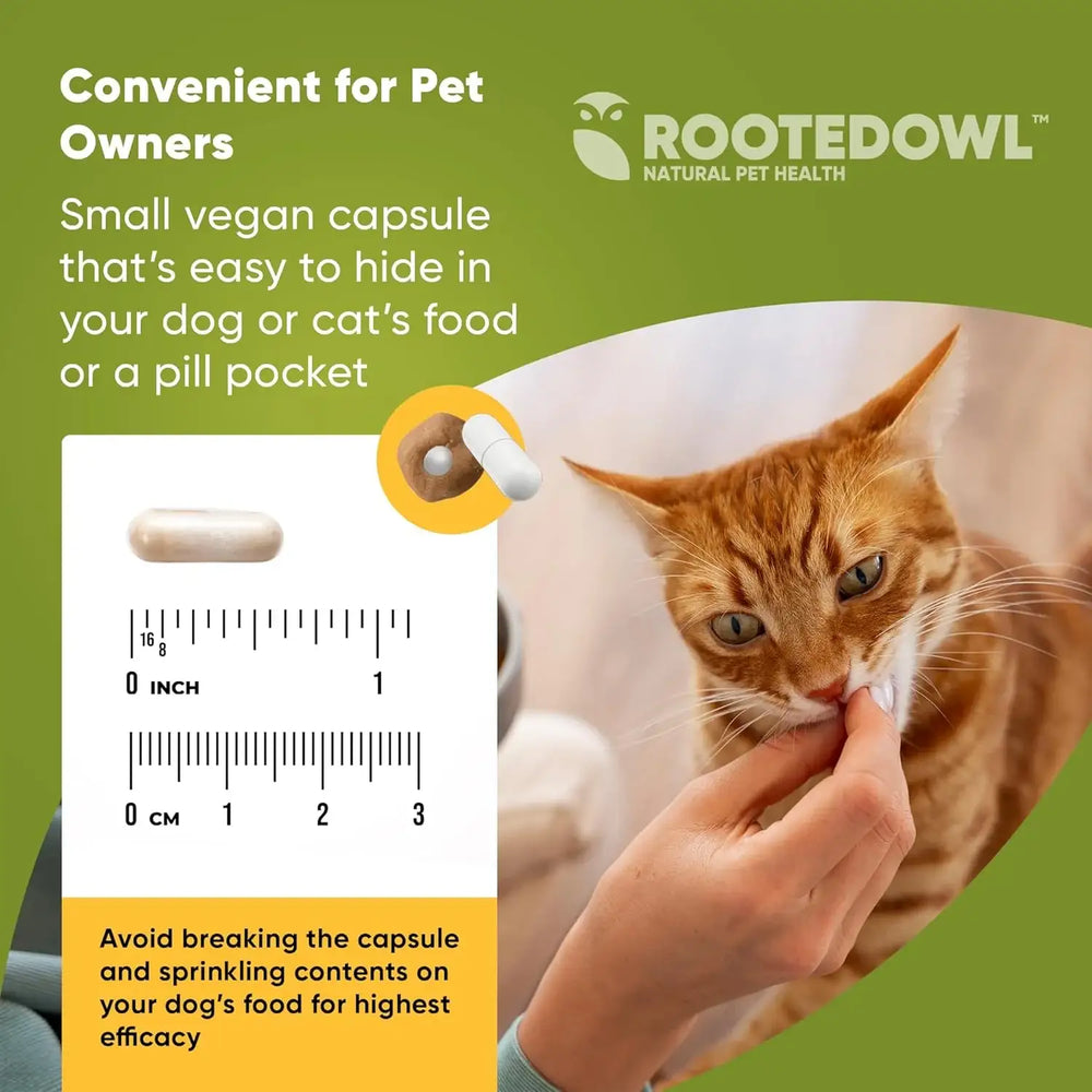 ROOTED OWL - Rooted Owl Joint and Muscle Support for Cats and Small Dogs 30 Capsulas - The Red Vitamin MX - Cuidado De Cadera Y Articulaciones Para Perros - {{ shop.shopifyCountryName }}
