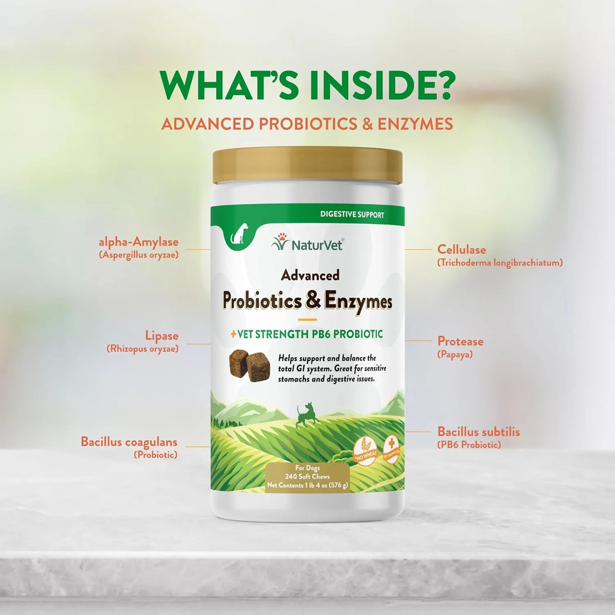 NATURVET - NaturVet Advanced Probiotics & Enzymes 240 Masticables - The Red Vitamin MX - Probióticos Para Perros - {{ shop.shopifyCountryName }}