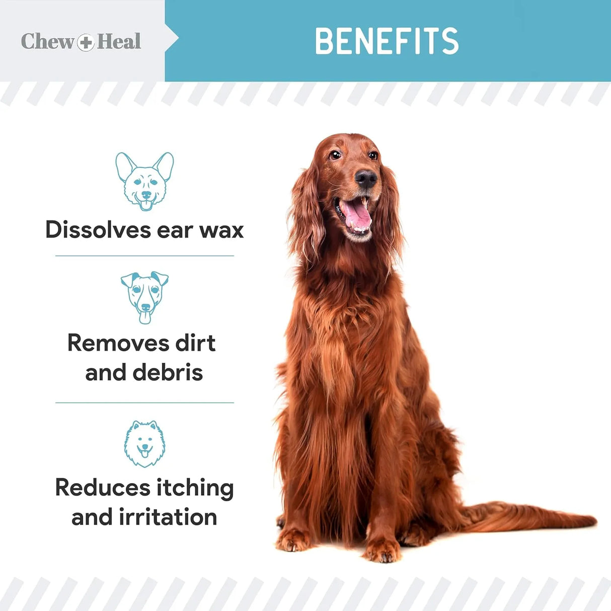 CHEW + HEAL - Chew + Heal Dog Ear Cleaner Solution 4 Fl.Oz. 2 Pack - The Red Vitamin MX - Cuidado Del Oído De Perros - {{ shop.shopifyCountryName }}