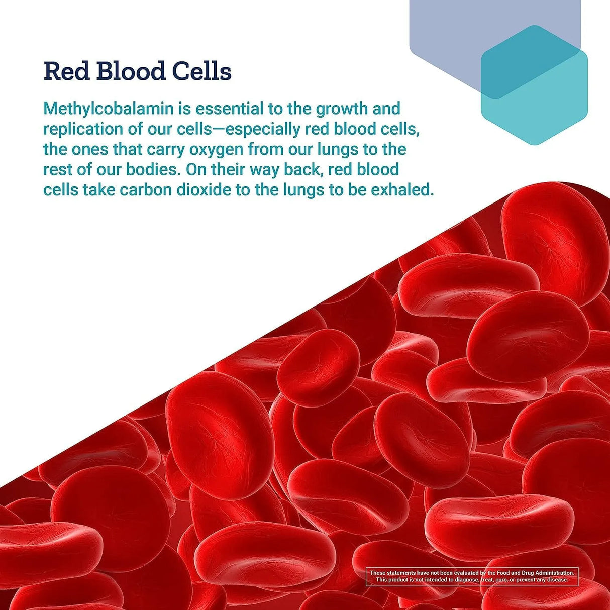 LIFE EXTENSION - Life Extension Vitamin B12 Methylcobalamin 500mcg 100 Tabletas 2 Pack - The Red Vitamin MX - Suplementos Alimenticios - {{ shop.shopifyCountryName }}