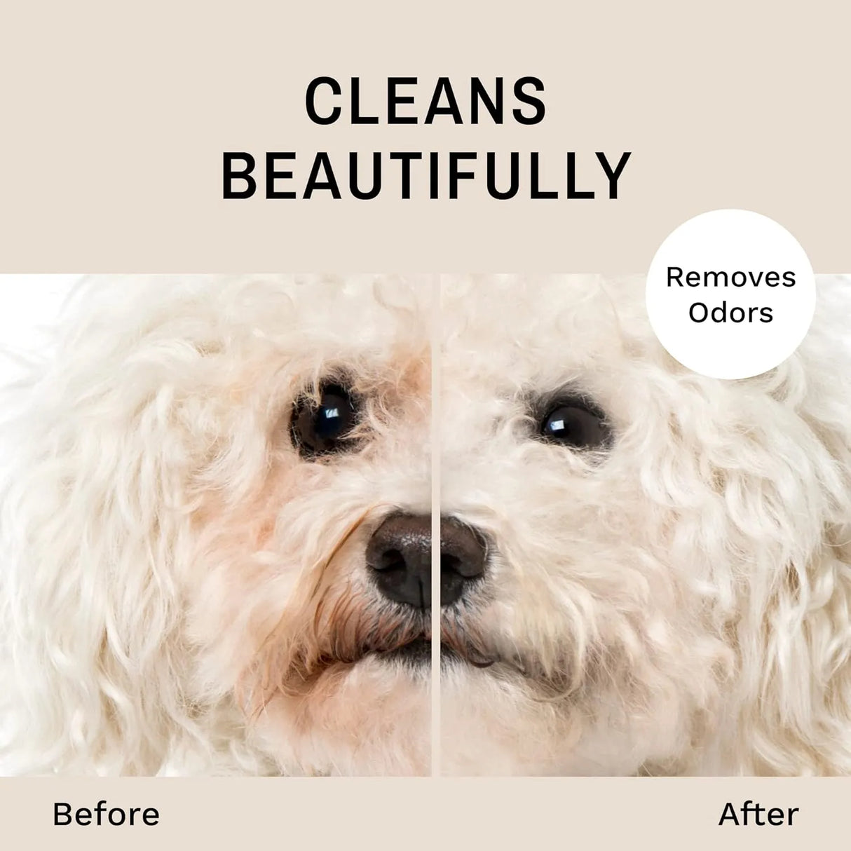 EYE ENVY - Eye Envy Tear Stain Facial Cleanser for Dogs and Cats 250Ml. - The Red Vitamin MX - Cuidado De Los Ojos De Los Perros - {{ shop.shopifyCountryName }}