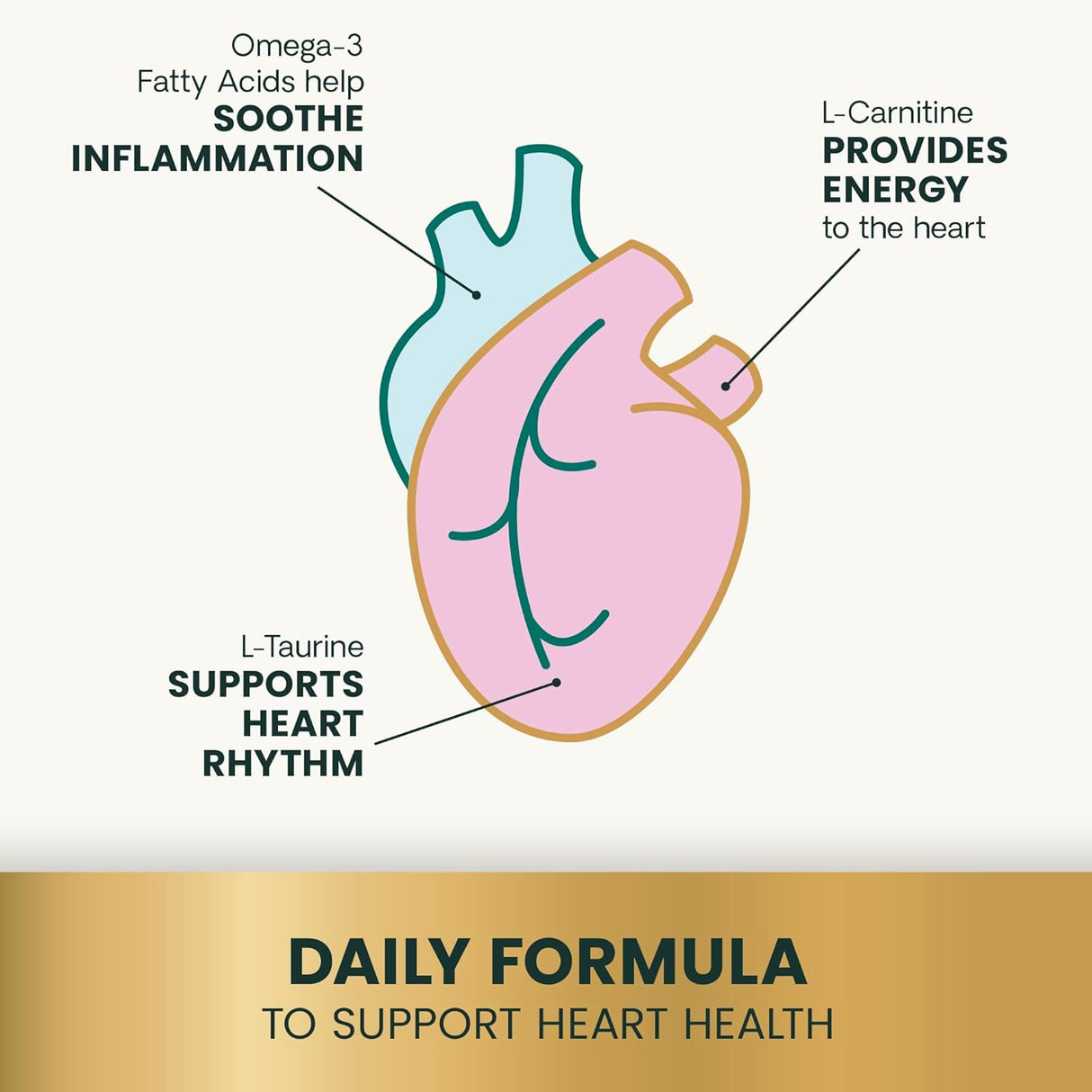VetriScience Extra Strength Healthy Heart Chews 60 Masticables