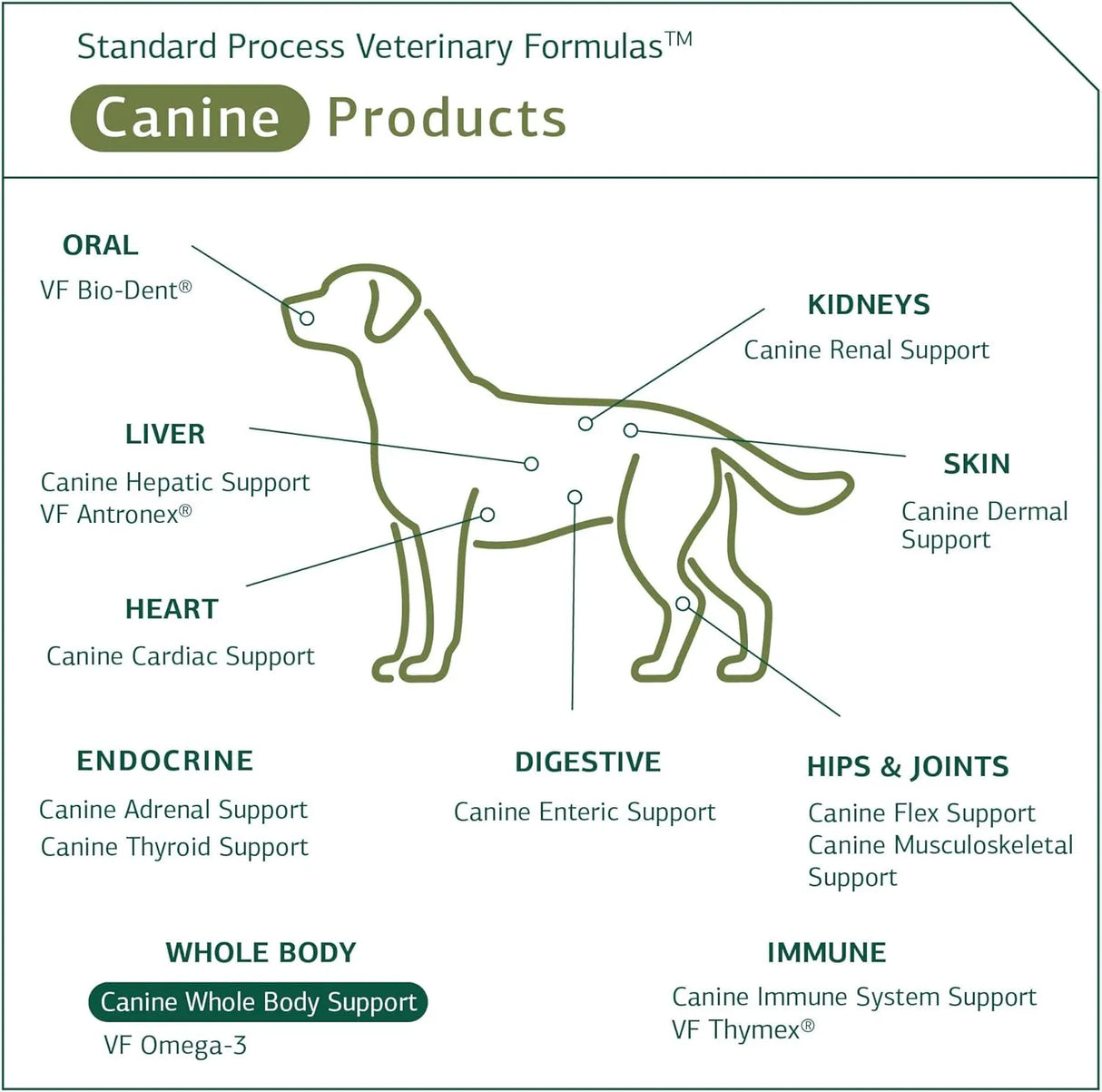 STANDARD PROCESS - Standard Process Inc. Canine Whole Body Support 100Gr. - The Red Vitamin MX - Multivitamínicos Para Perros - {{ shop.shopifyCountryName }}
