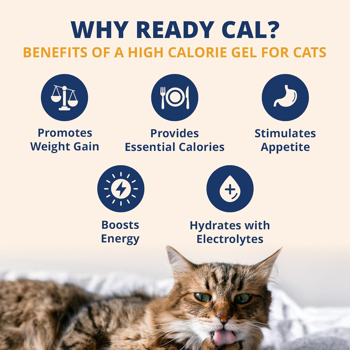Under the Weather Pet Electrolytes Ready Cal Plus Gel for Cats 3.5 Oz.