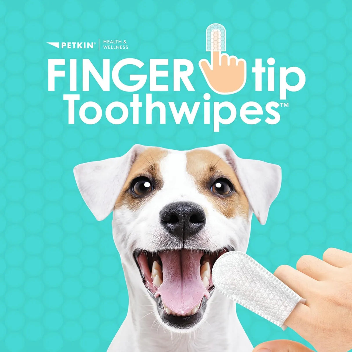 PETKIN - Petkin Fingertip Tooth Wipes for Dogs and Cats Fresh Mint 100 Toallitas - The Red Vitamin MX - Cuidado Dental Para Perros - {{ shop.shopifyCountryName }}
