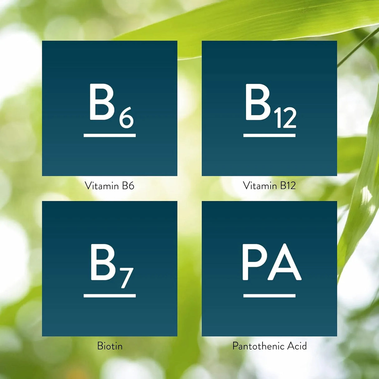 NATURES SUNSHINE - Nature's Sunshine Balanced B Complex 120 Tabletas - The Red Vitamin MX - Suplementos Alimenticios - {{ shop.shopifyCountryName }}