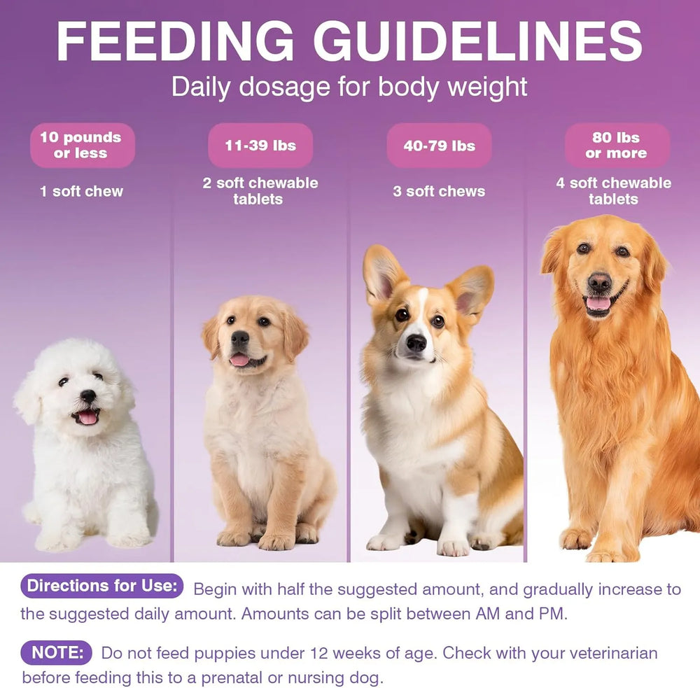 TTLXRL - TTLXRL Probiotics for Dogs 200 Tabletas Masticables - The Red Vitamin MX - Probióticos Para Perros - {{ shop.shopifyCountryName }}