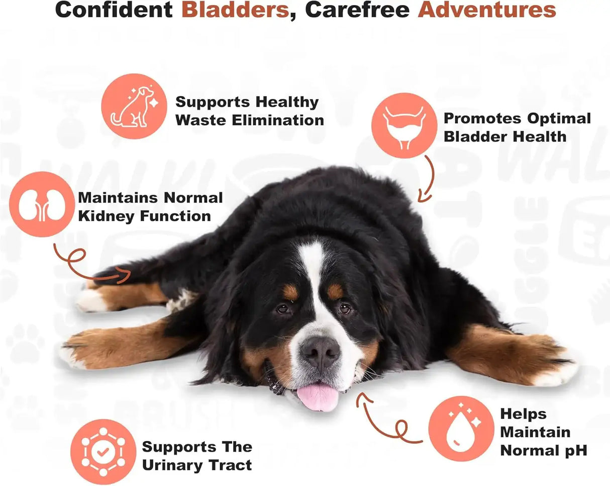 DOGGIE DAILIES - Doggie Dailies Cranberry Supplement for Dogs Bacon Flavored 225 Masticables - The Red Vitamin MX - Salud De Tracto Urinario Para Perros - {{ shop.shopifyCountryName }}