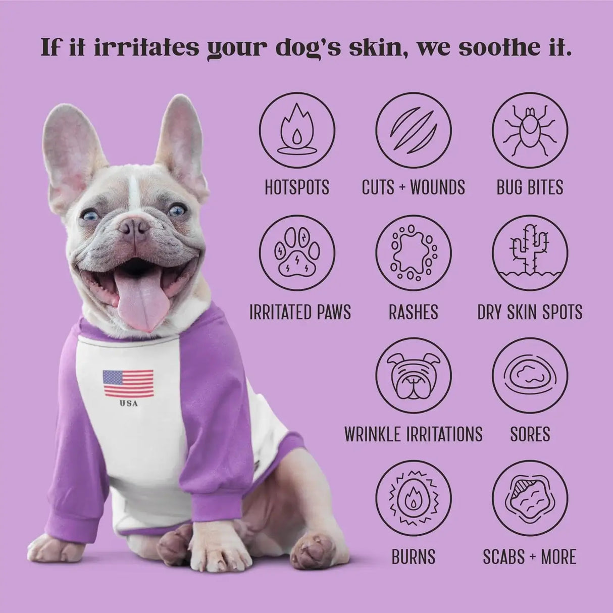 LAVENGEL - Lavengel for Dogs Reduces Skin Irritations and Itching 8Gr. - The Red Vitamin MX - Remedios Para La Picazón De Perros - {{ shop.shopifyCountryName }}