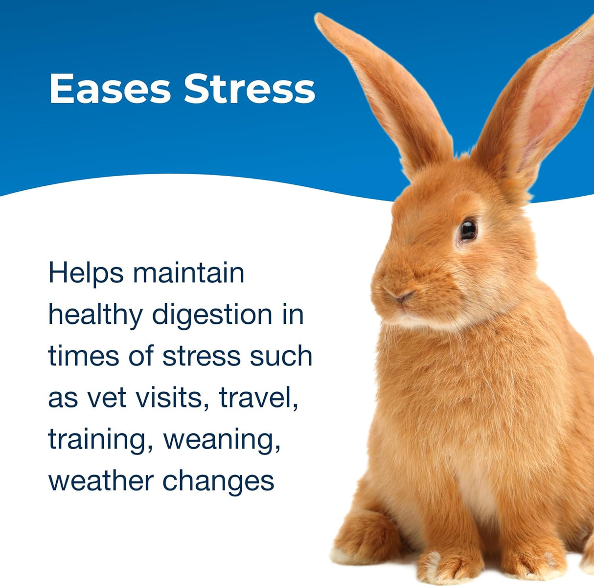 PetAg Bene-Bac Plus Pet Gel Probiotics for Dogs Cats Exotic & Wildlife Mammals 15Gr.