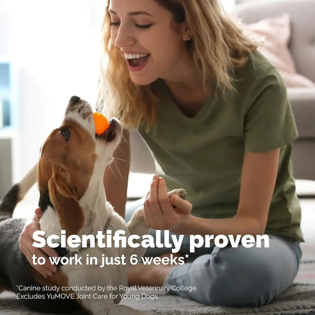 YUMOVE - YuMOVE Hip & Joint Supplement for Senior Dogs with Max Strength 120 Tabletas Masticables - The Red Vitamin MX - Cuidado De Cadera Y Articulaciones Para Perros - {{ shop.shopifyCountryName }}