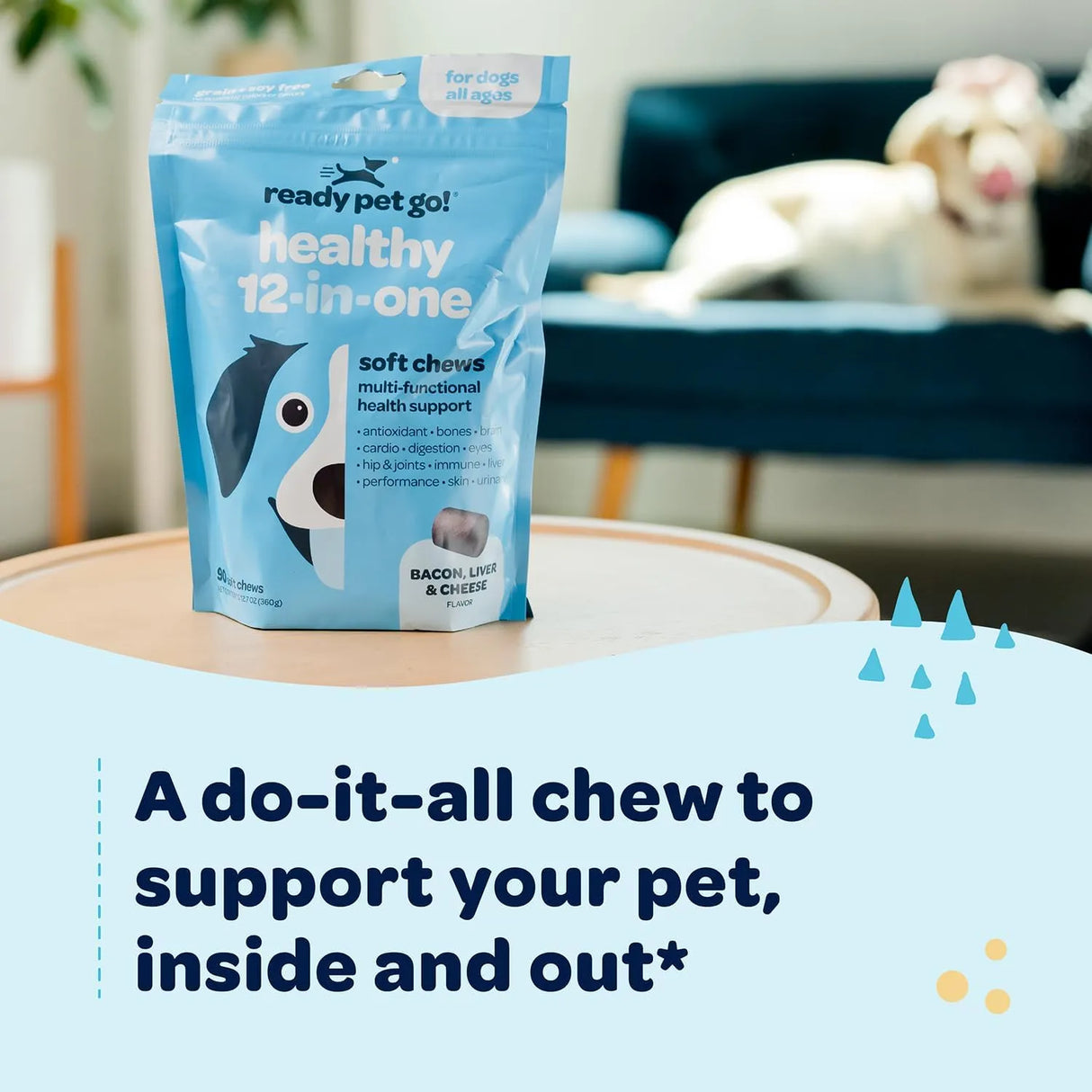 READY PET GO - Ready Pet Go! 12-in-1 Complete Multivitamin for Dogs 90 Masticables - The Red Vitamin MX - Multivitamínicos Para Perros - {{ shop.shopifyCountryName }}