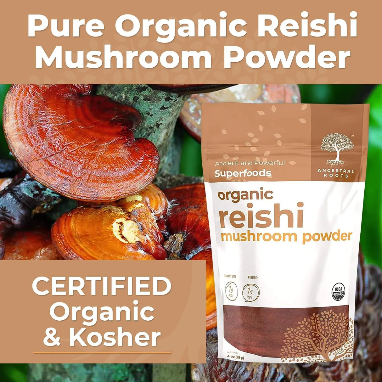 ANCESTRAL ROOTS - ANCESTRAL ROOTS Red Reishi Mushroom Powder 113Gr. - The Red Vitamin MX - Suplementos Alimenticios - {{ shop.shopifyCountryName }}