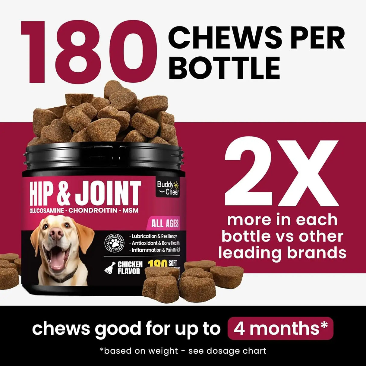 BUDDYCHEER - BuddyCheer Glucosamine for Dogs Hip and Joint Supplement Chews 180 Masticables - The Red Vitamin MX - Cuidado De Cadera Y Articulaciones Para Perros - {{ shop.shopifyCountryName }}