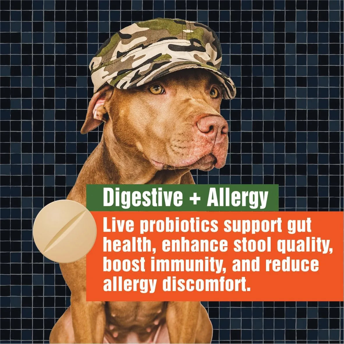 PAWS A DAY - Paws A Day Army Soldier Owned Dog Probiotics 60 Masticables 3 Pack - The Red Vitamin MX - Probióticos Para Perros - {{ shop.shopifyCountryName }}