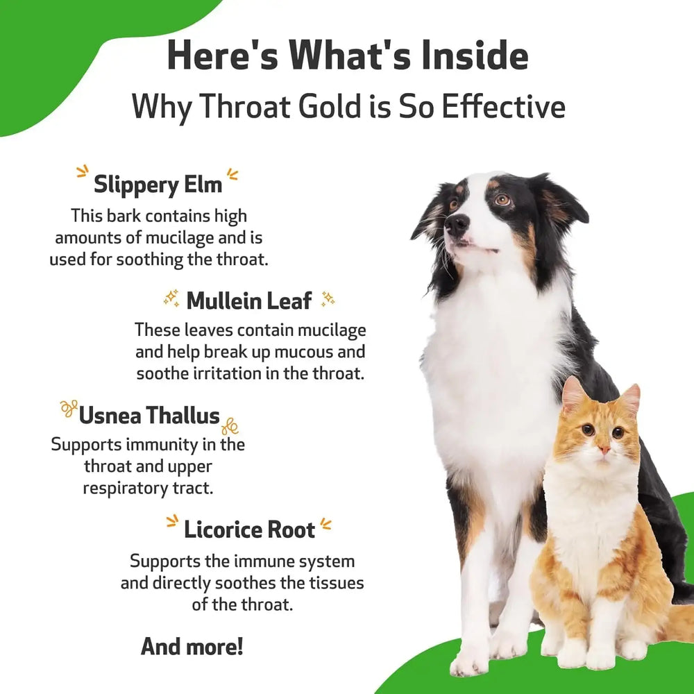 PET WELLBEING - Pet Wellbeing Throat Gold for Dogs 4 Fl.Oz. - The Red Vitamin MX - Medicamentos Sin Receta Para Perros - {{ shop.shopifyCountryName }}