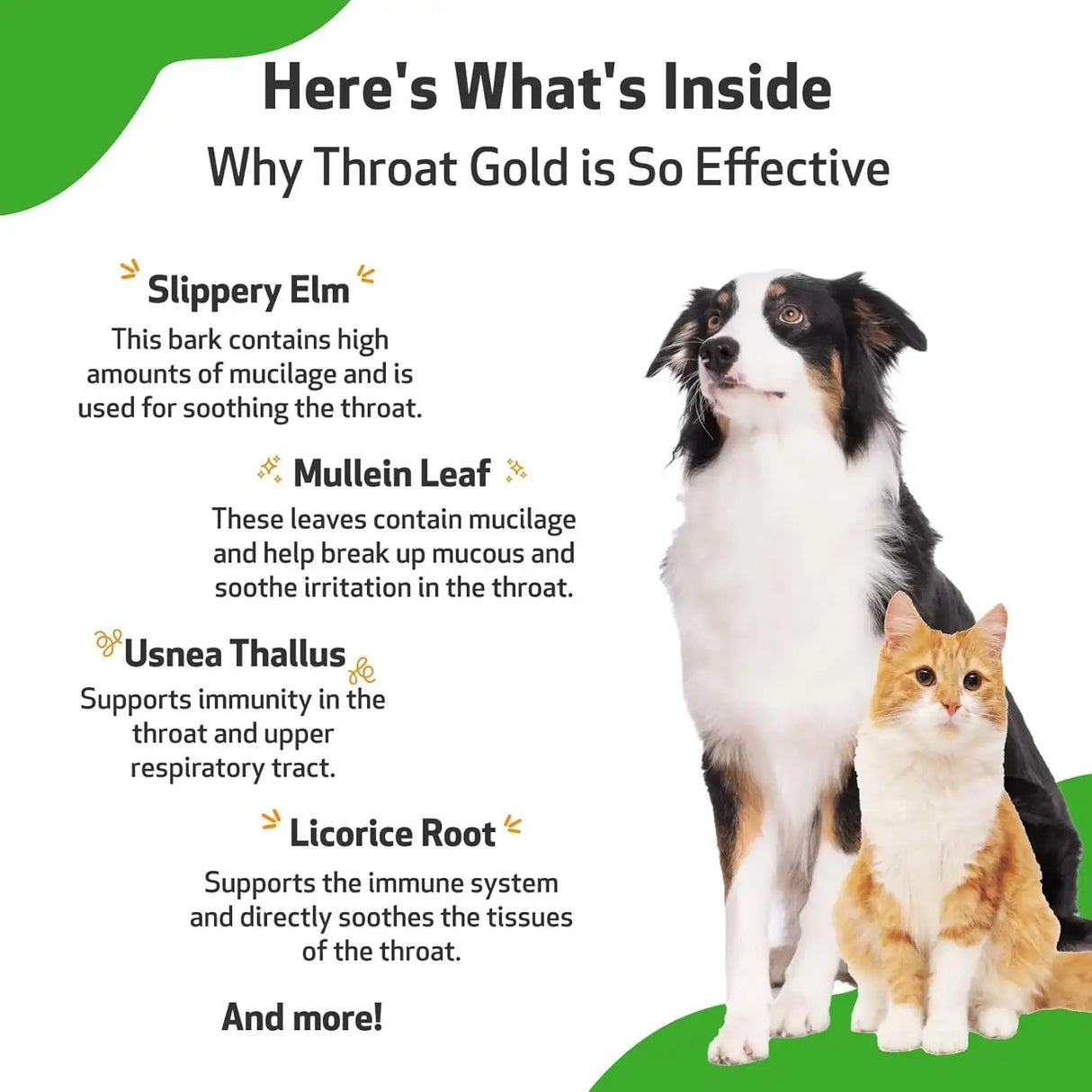 PET WELLBEING - Pet Wellbeing Throat Gold for Dogs 4 Fl.Oz. - The Red Vitamin MX - Medicamentos Sin Receta Para Perros - {{ shop.shopifyCountryName }}