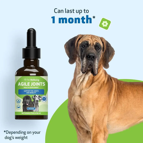 PET WELLBEING - Pet Wellbeing Agile Joints for Dogs 2 Fl.Oz. - The Red Vitamin MX - Cuidado De Cadera Y Articulaciones Para Perros - {{ shop.shopifyCountryName }}