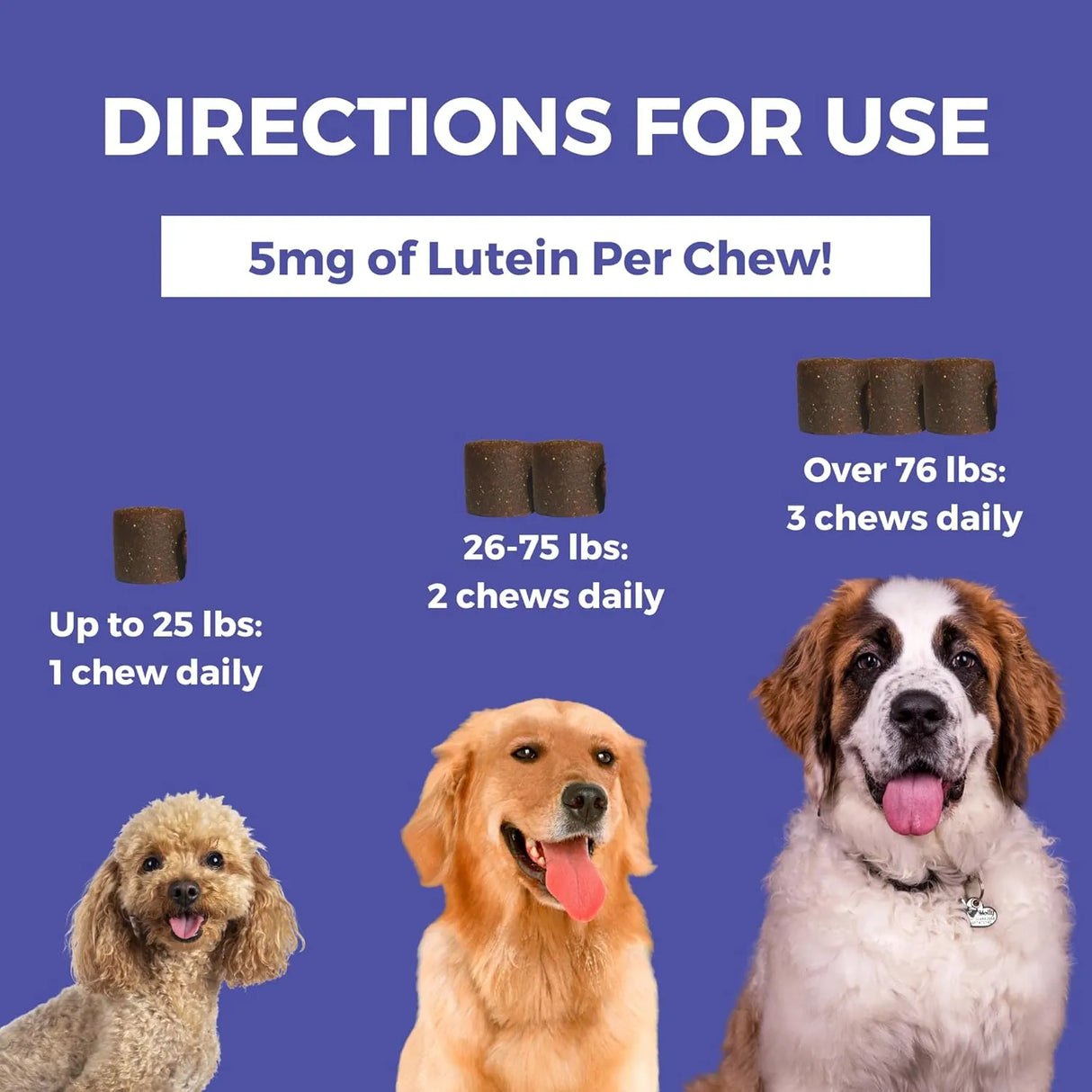 NOOTIE - Nootie Progility Tear Stain Supplement for Dogs 80 Masticables - The Red Vitamin MX - Cuidado De Los Ojos De Los Perros - {{ shop.shopifyCountryName }}