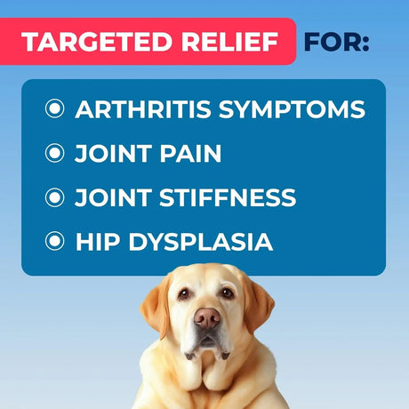 PAWFECT - Pawfect Mobility Glucosamine Chews for Dogs 120 Masticables - The Red Vitamin MX - Cuidado De Cadera Y Articulaciones Para Perros - {{ shop.shopifyCountryName }}