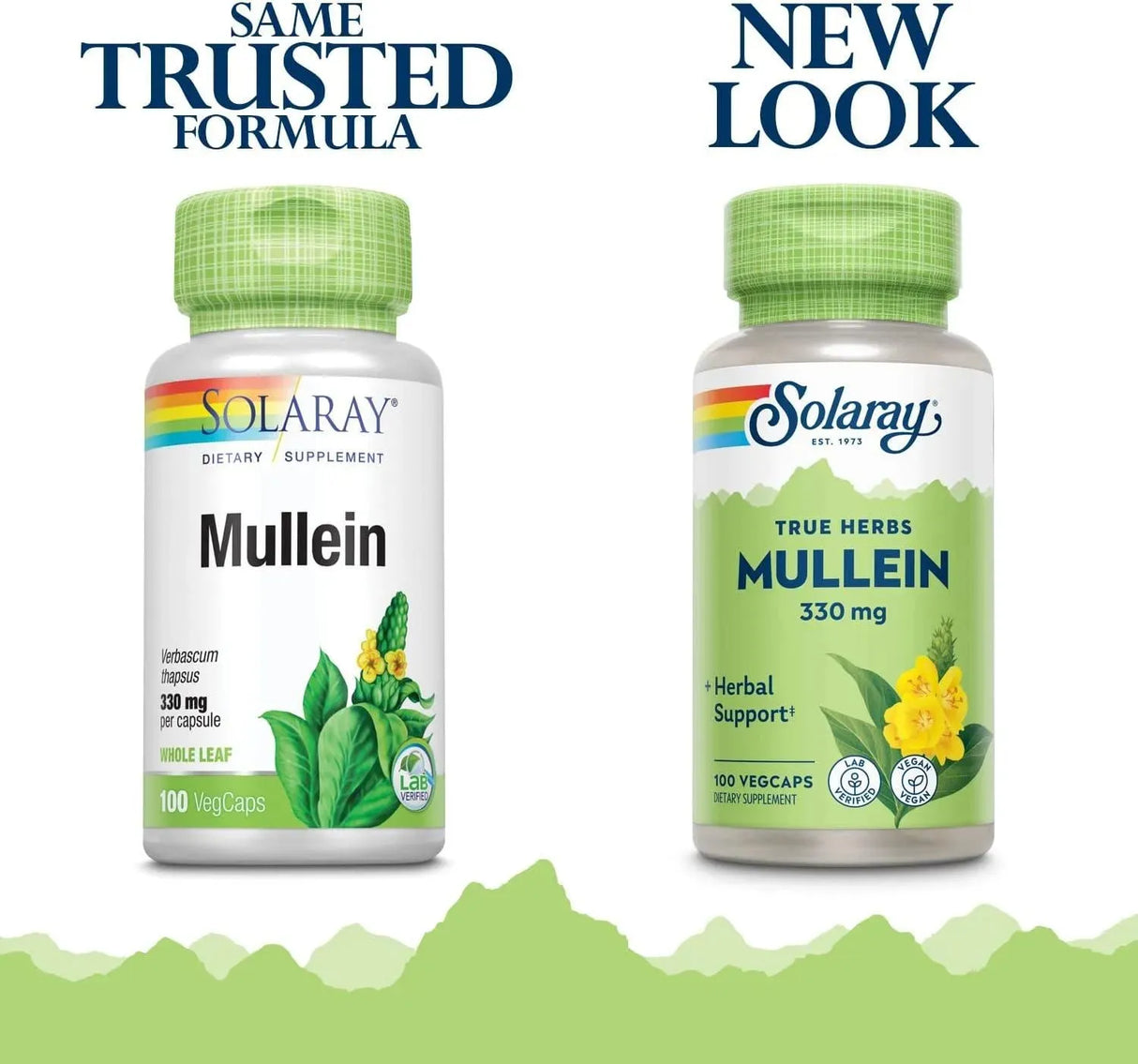 SOLARAY - SOLARAY Mullein Leaf 330Mg. 100 Capsulas 2 Pack - The Red Vitamin MX - Suplementos Alimenticios - {{ shop.shopifyCountryName }}