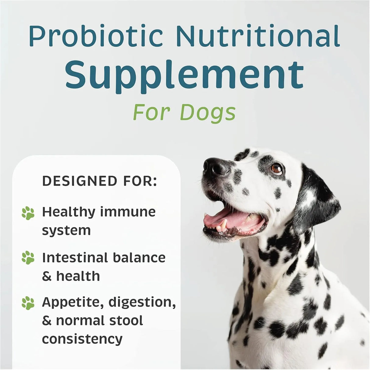 VETONE - VetOne Advita Probiotic Nutritional Supplement for Dogs 30 Paquetes - The Red Vitamin MX - Probióticos Para Perros - {{ shop.shopifyCountryName }}