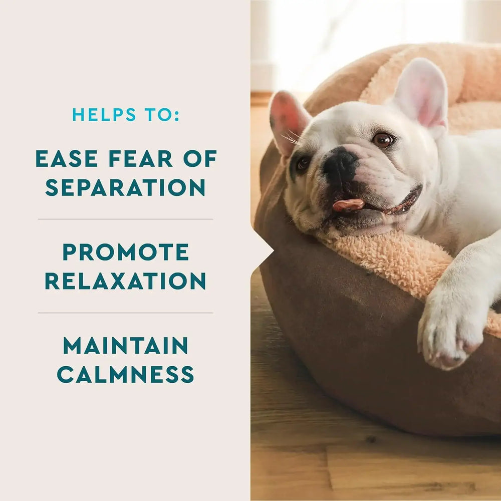 VETIQ - VetIQ Advanced Calming Support Supplement for Dogs 60 Masticables - The Red Vitamin MX - Relajantes Para Perros - {{ shop.shopifyCountryName }}