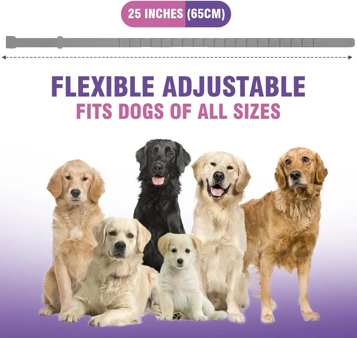 TCLLKA - Tcllka Calming Collar for Dogs 4 Pack - The Red Vitamin MX - Relajantes Para Perros - {{ shop.shopifyCountryName }}