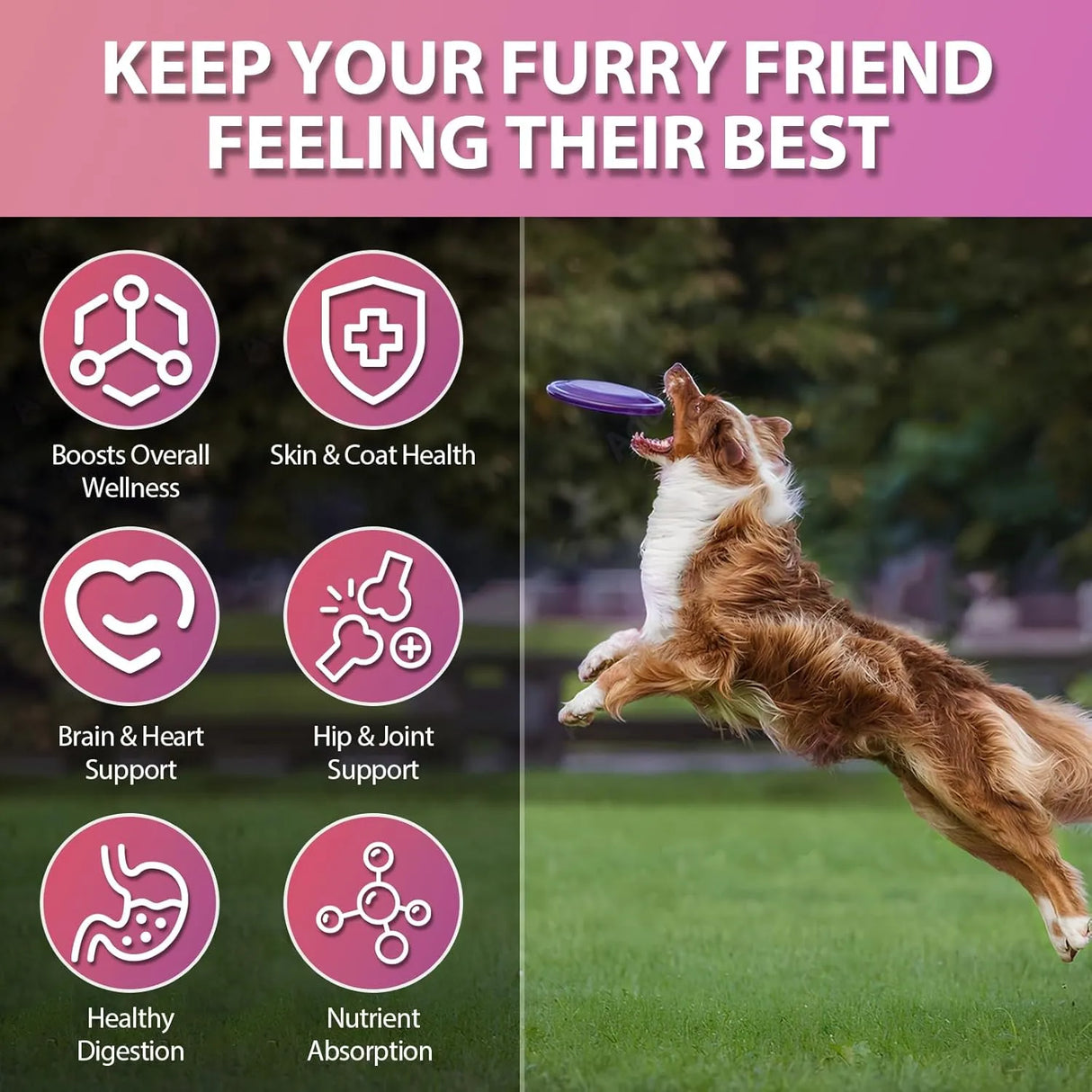 CARMELIE - Carmelie 24 in 1 Dog Vitamins 200 Masticables - The Red Vitamin MX - Multivitamínicos Para Perros - {{ shop.shopifyCountryName }}